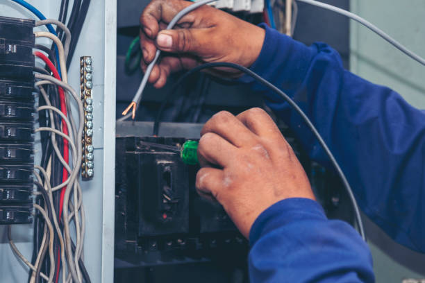 Best Electric Panel Repair  in Lifornia City, CA